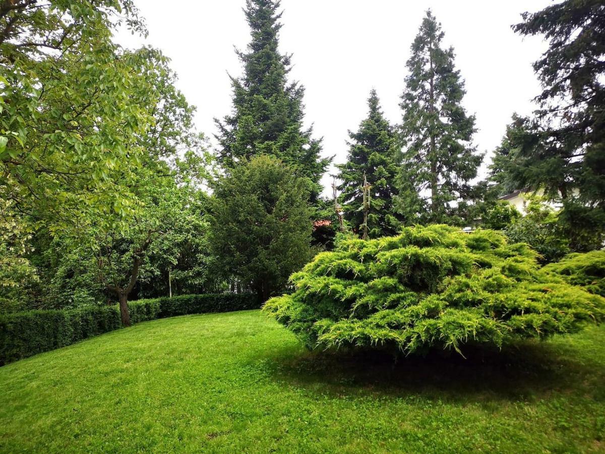 Casa Carla, Immersa Nel Verde Dei Colli Bolognesi Sasso Marconi Exteriör bild